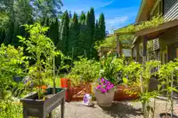 517 AILSA AVENUE - thumbnail 37