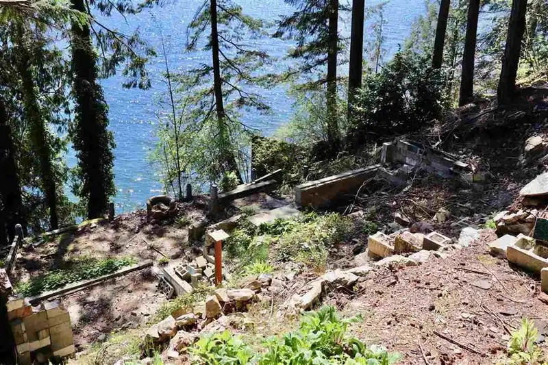 318 SASAMAT LANE - photo 4 of 4