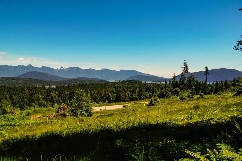 LOT I PANORAMA PARKWAY - photo 4 of 18