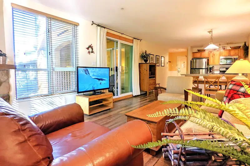 311 4314 MAIN STREET - photo 4 of 24