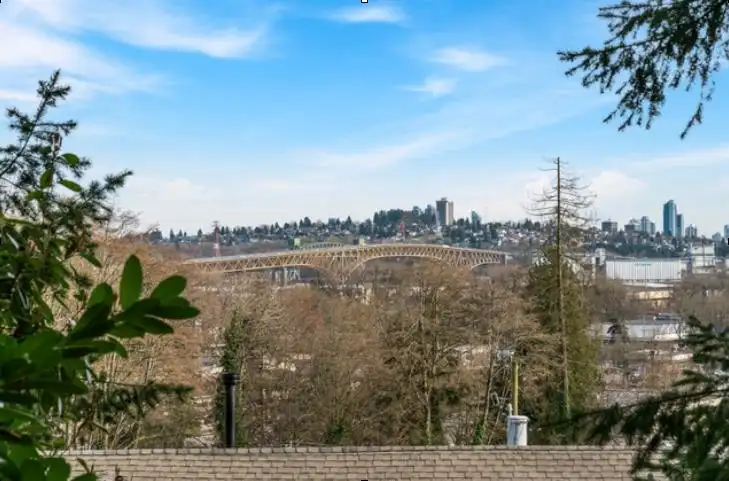 1119 SHAVINGTON STREET - photo 3 of 27