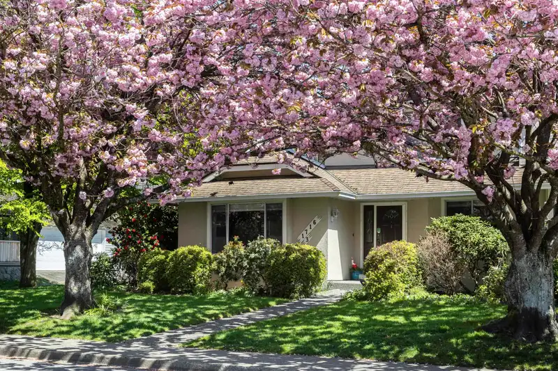 3 1716 MAHON AVENUE - photo 3 of 40