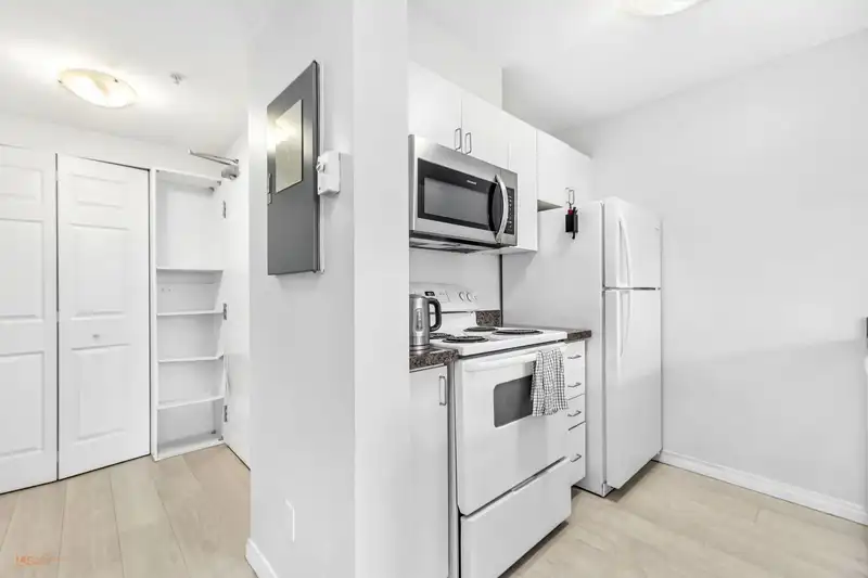 2010 438 SEYMOUR STREET - photo 3 of 17