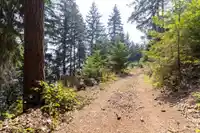 750 TAYLOR ROAD - thumbnail 19