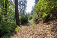 750 TAYLOR ROAD - thumbnail 20