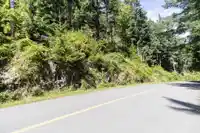 750 TAYLOR ROAD - thumbnail 27