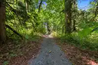 29985 DOWNES ROAD - thumbnail 39