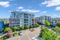 509 10011 RIVER DRIVE - thumbnail 22