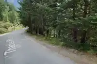 21523 THACKER MTN ROAD - thumbnail 6