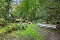 3680 VANCE ROAD - thumbnail 6