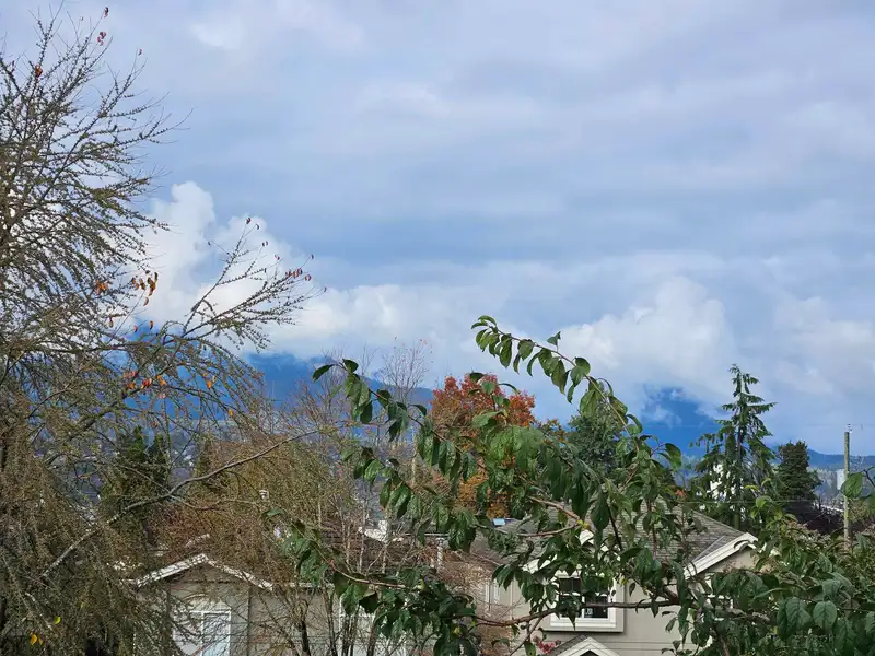 2636 MCGILL STREET - photo 3 of 10