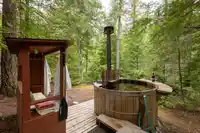 9540 PEMBERTON PORTAGE ROAD - thumbnail 15