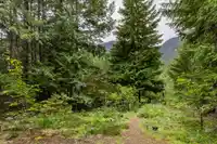 9540 PEMBERTON PORTAGE ROAD - thumbnail 23