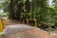 9540 PEMBERTON PORTAGE ROAD - thumbnail 24
