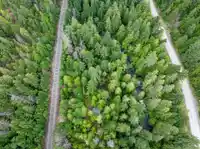 9540 PEMBERTON PORTAGE ROAD - thumbnail 27