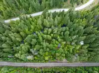 9540 PEMBERTON PORTAGE ROAD - thumbnail 28