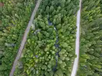 9540 PEMBERTON PORTAGE ROAD - thumbnail 31