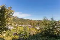 160 3105 DAYANEE SPRINGS BOULEVARD - thumbnail 30