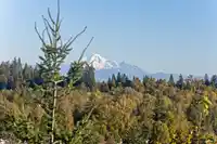 160 3105 DAYANEE SPRINGS BOULEVARD - thumbnail 31