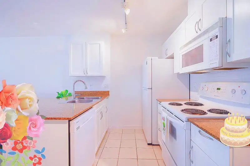 1708 938 SMITHE STREET - photo 3 of 26