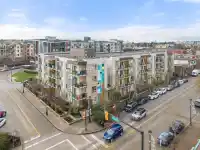305 20460 DOUGLAS CRESCENT - thumbnail 1