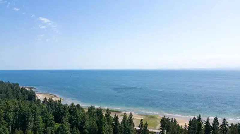 1102 LARGO ROAD - photo 3 of 12