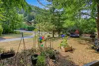 13032 NARROWS ROAD - thumbnail 37