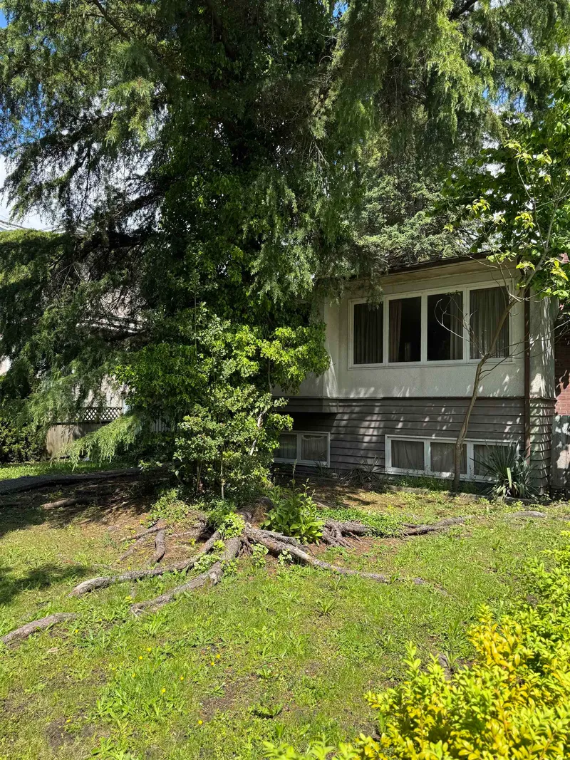 2511 UPLAND DRIVE - photo 3 of 25