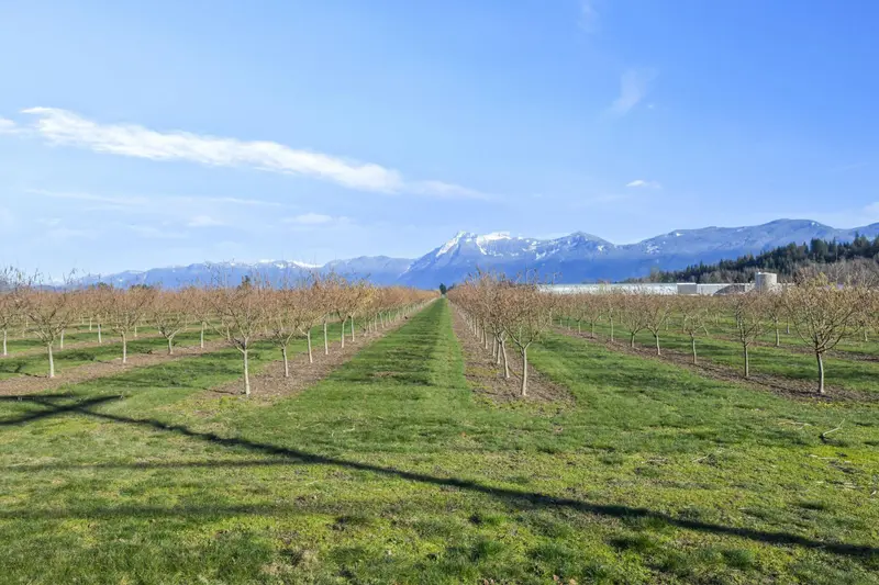 46464 BRICE ROAD - photo 4 of 25