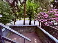 10 8500 ANDERSON ROAD - thumbnail 2