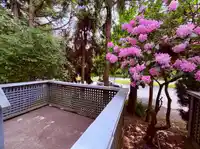 10 8500 ANDERSON ROAD - thumbnail 3
