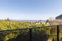 1109 HILLSIDE ROAD - thumbnail 26