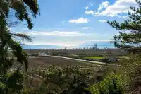 5242 STATION ROAD - thumbnail 2