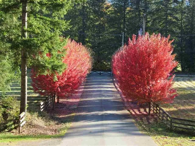 1400 MAPLE ROCK DRIVE - photo 2 of 25