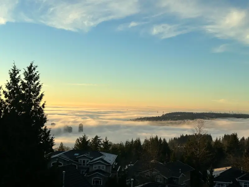 2978 FORESTRIDGE PLACE - photo 2 of 25