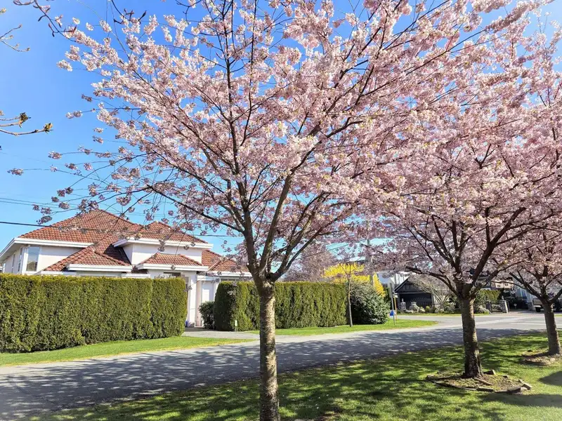 8680 KILGOUR PLACE - photo 1 of 35