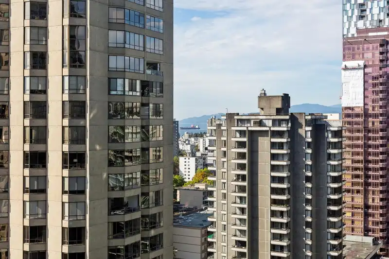 2007 1331 ALBERNI STREET - photo 2 of 20