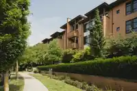 303 220 SALTER STREET - thumbnail 2