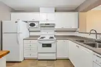 402 12148 224 STREET - thumbnail 11