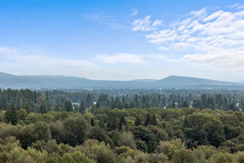 2502 3093 WINDSOR GATE - photo 1 of 25