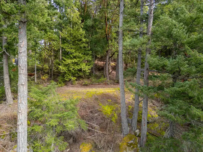 2564 MONTAGUE ROAD - photo 3 of 25