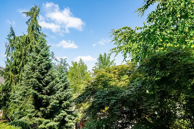 266 8328 207A STREET - photo 2 of 24