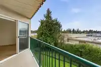 307 31771 PEARDONVILLE ROAD - thumbnail 14