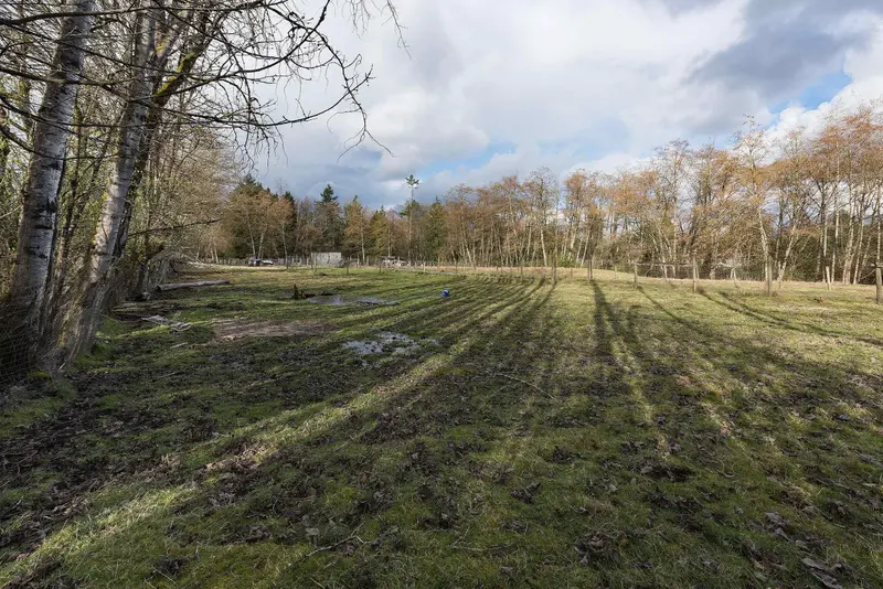 19607 80 AVENUE - photo 3 of 16