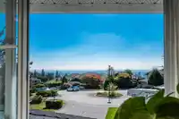 1577 LODGEPOLE PLACE - thumbnail 17