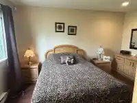 7597 WREN STREET - thumbnail 12