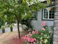 7597 WREN STREET - thumbnail 5