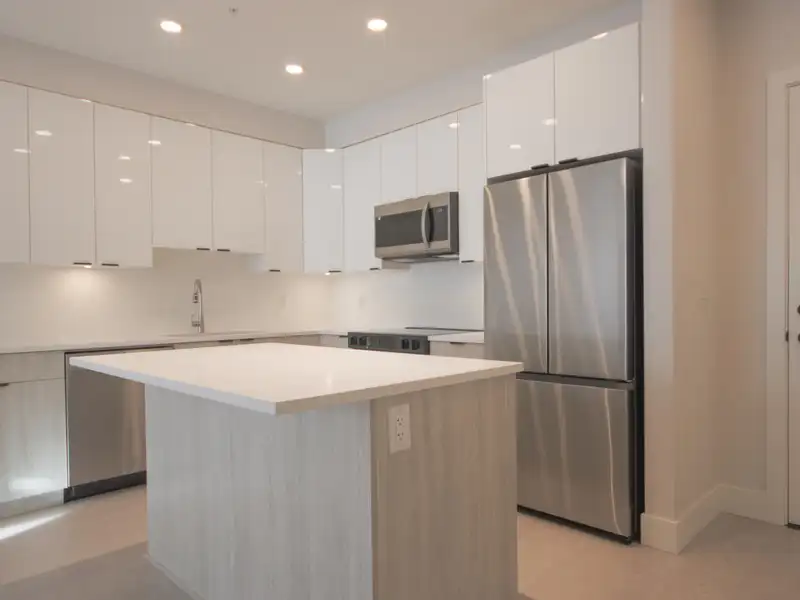 316 11655 FRASER STREET - photo 3 of 10