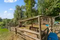 30957 GUNN AVENUE - thumbnail 33