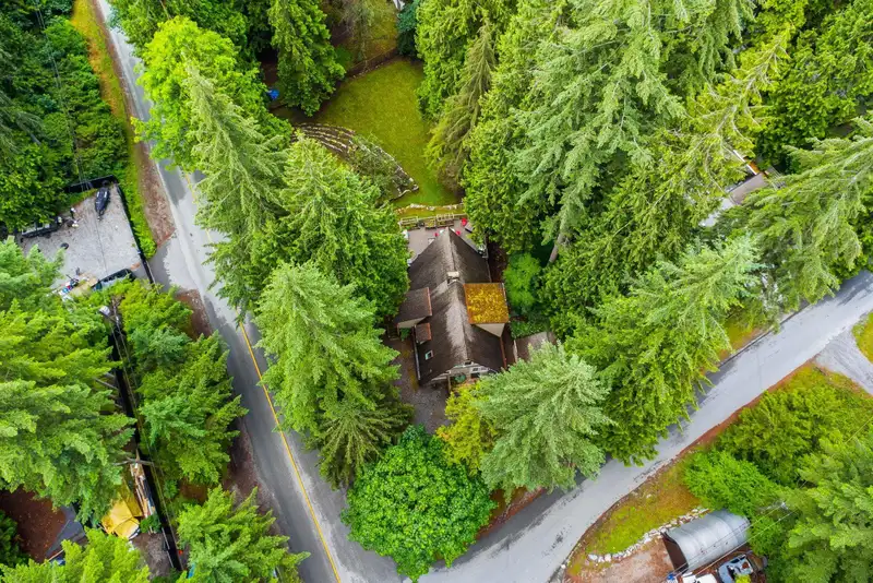 14241 SILVER VALLEY ROAD - photo 2 of 40